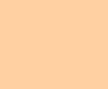 PAINT MAGICOTE APRICOT 5GAL PNT506