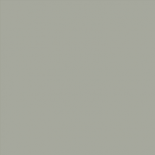 PAINT FLOOR & PATIO - ASH GREY BERGER