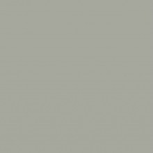PAINT 404 ASH GREY QRT -PNTBE071