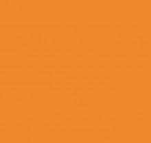 PAINT 404 CARNIVAL QRT -PNTBE079