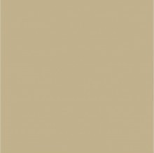 PAINT MAGICOTE CREAM 5GAL PNT520