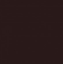 PAINT 404 SPANISH BROWN 1GAL
