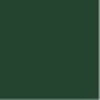 PAINT 404 DARK PERMANENT GREEN 1GAL -PNTBE082