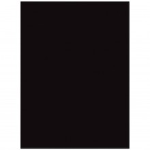 PAINT 303 BLACK GAL PNT127