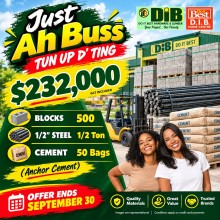 JUST AH BUSS TUN UP D' TING