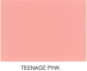 PAINT 404 TEENAGE PINK QRT PNT485