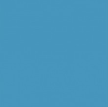 PAINT 303 MORNING GLORY QRT PNT445