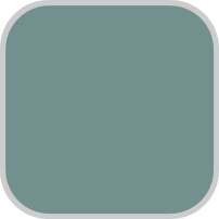 PAINT MAGICOTE DRAGON FLY LOW SHEEN 1 GAL PNT1485