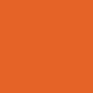 PAINT 404 SPICE ORANGE 1GAL PNT327