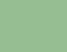 PAINT 303 DUCK EGG GREEN QRT PNT421