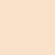 PAINT MAGICOTE APRICOT LOW SHEEN 1 GAL PNT1473