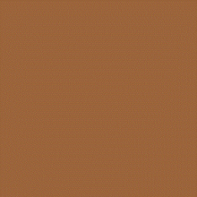 PAINT 404 GOLDEN BROWN QRT -PNT430