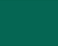 PAINT MAGICOTE DRAGON FLY 1GAL PNT578