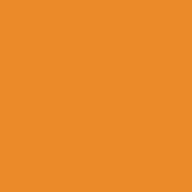 PAINT MAGICOTE CARNIVAL 1GAL PNT162
