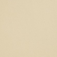 PAINT 303 CREAM 1 GAL PNT177