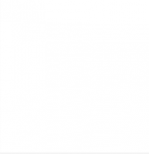 PAINT MAGICOTE WHITE GLOSS 1GAL