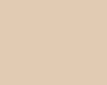 PAINT MAGICOTE CREAM LOW SHEEN 1 GAL PNT1480