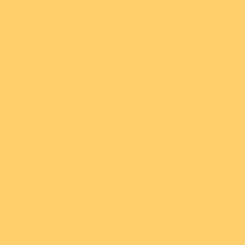 PAINT 404 YELLOW BUFF 1GAL